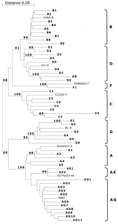 FIG. 1