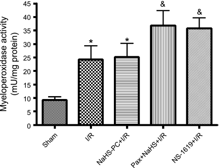 Fig. 7.