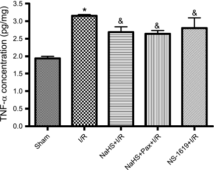 Fig. 8.