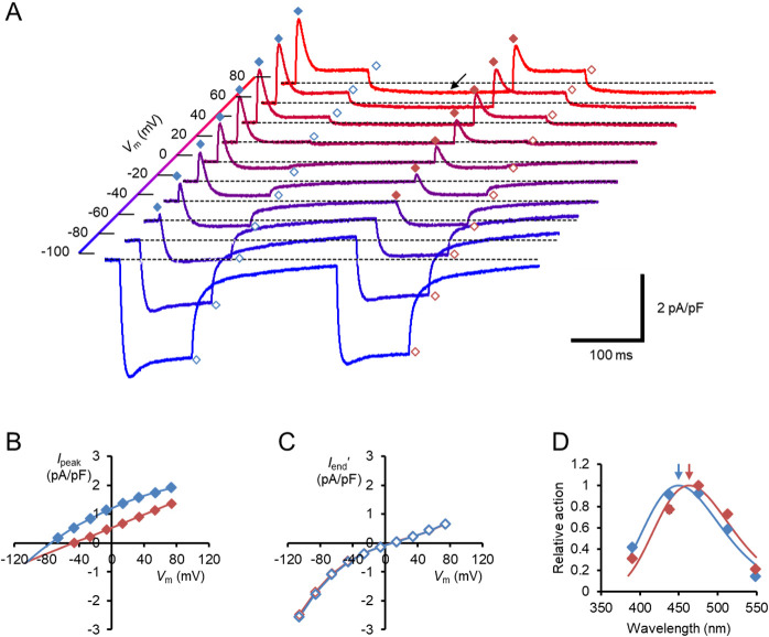 Figure 3