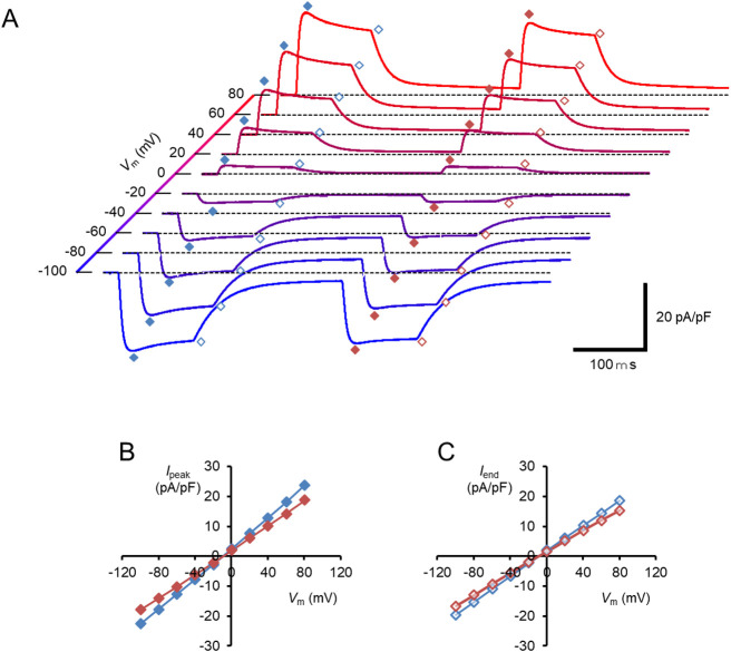 Figure 4