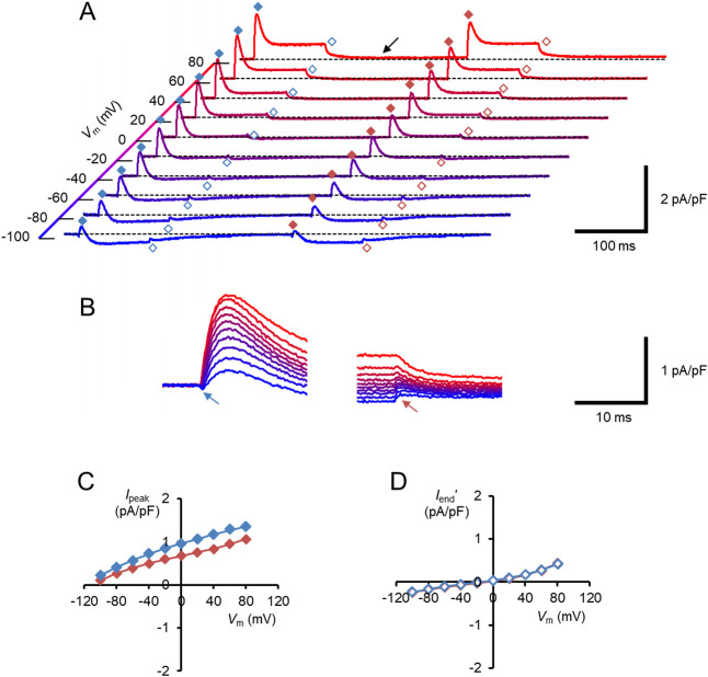 Figure 6