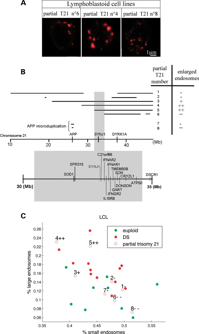 Figure 3.