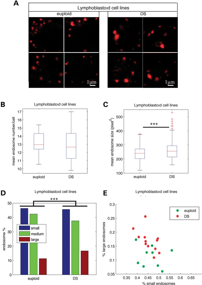 Figure 2.