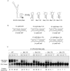 FIG. 6.