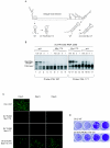 FIG. 7.