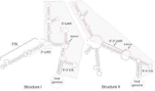 FIG. 5.