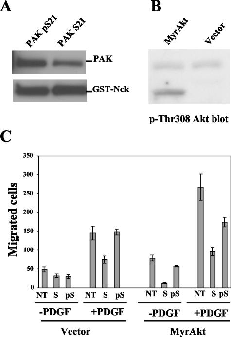 FIG. 9.