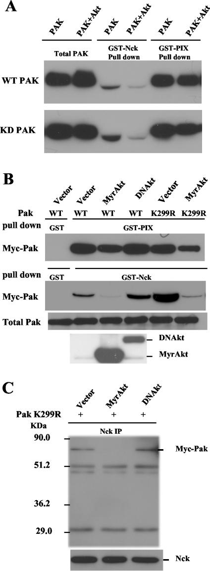 FIG. 7.