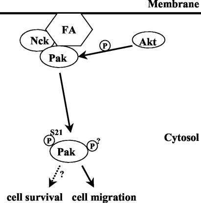 FIG. 10.