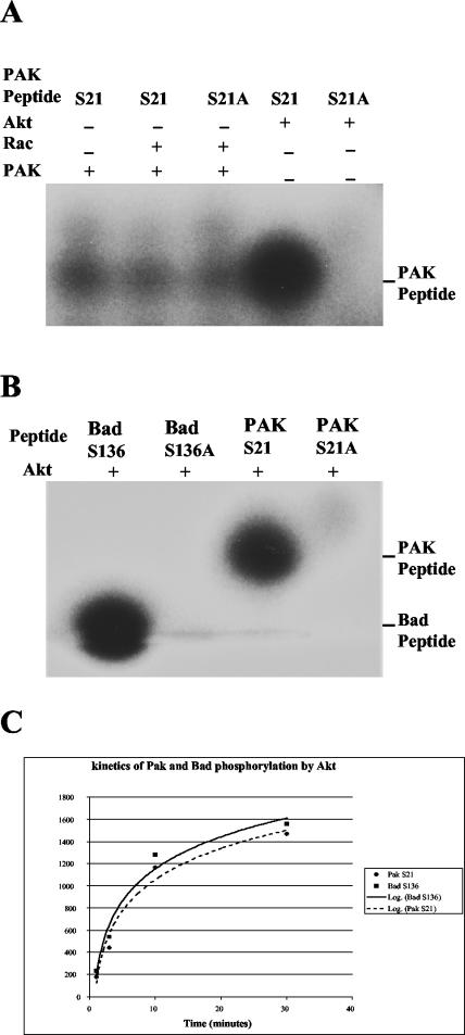 FIG. 5.