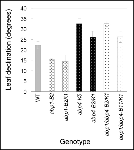 Figure 13