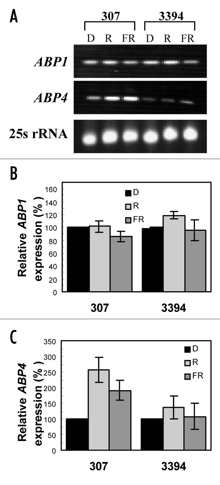 Figure 11