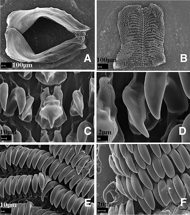 Figure 18