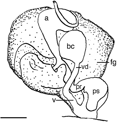 Figure 39