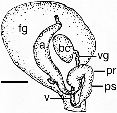 Figure 47