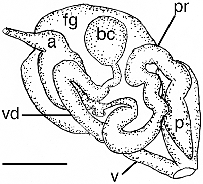 Figure 85