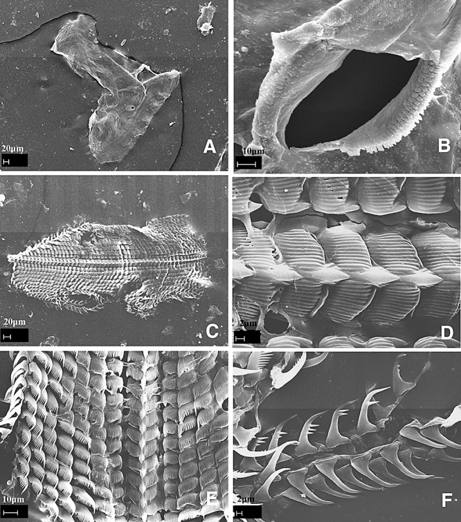 Figure 13