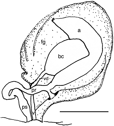 Figure 41