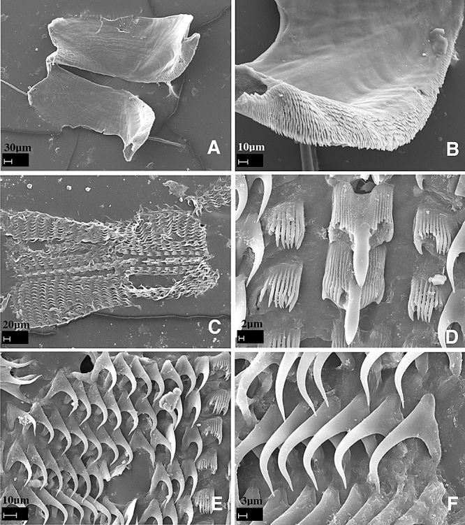 Figure 28