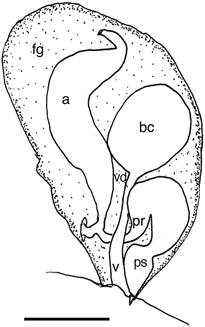 Figure 29