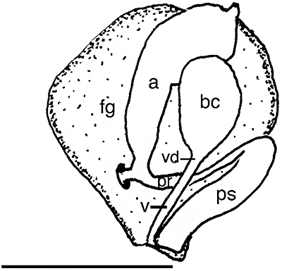 Figure 68