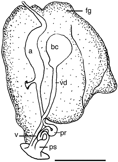 Figure 24