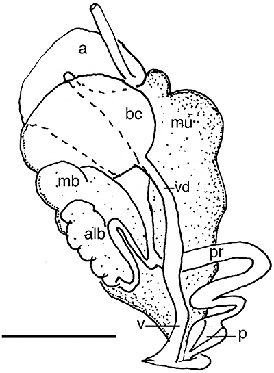 Figure 27