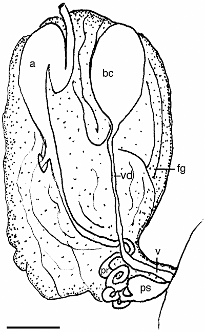 Figure 60