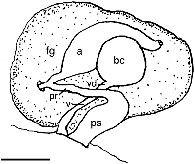 Figure 49