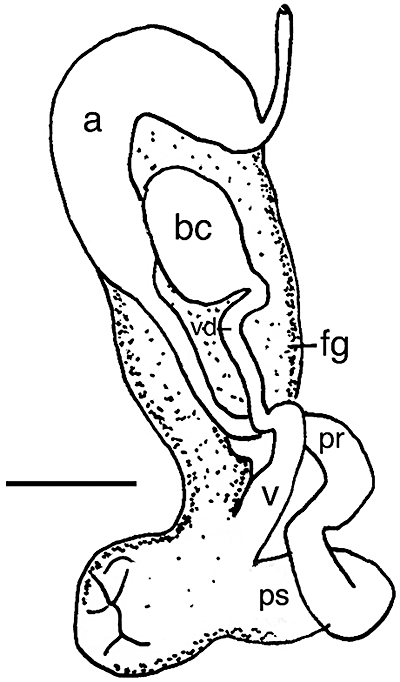 Figure 19