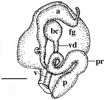 Figure 73