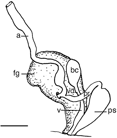 Figure 34