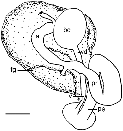 Figure 53