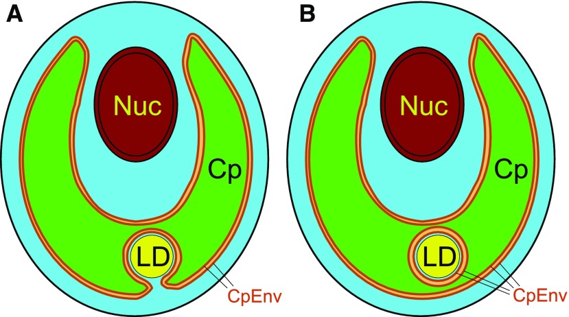 Figure 7.