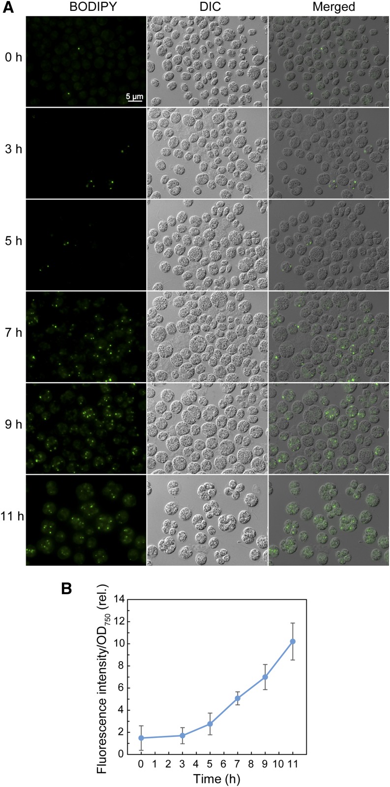 Figure 2.