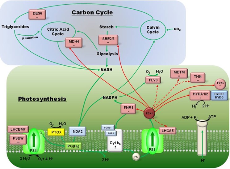 FIGURE 10.