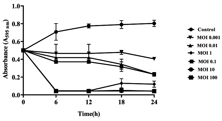 Fig. 3