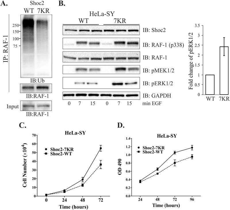 FIG 10