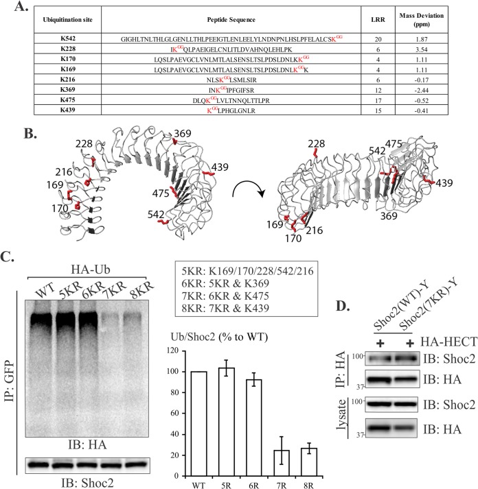 FIG 9