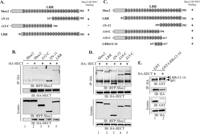 FIG 3