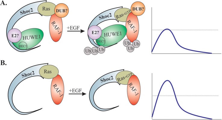 FIG 11