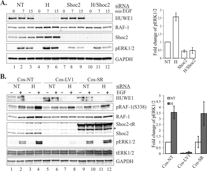 FIG 6