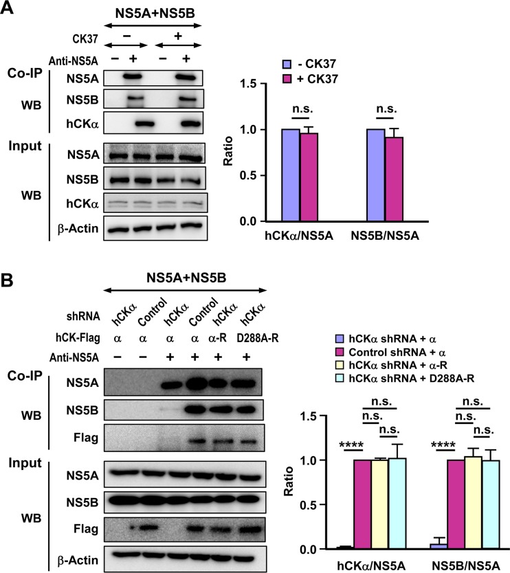 FIG 12