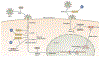 Figure 3 |