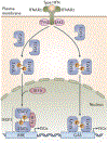 Figure 1 |