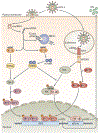 Figure 2 |