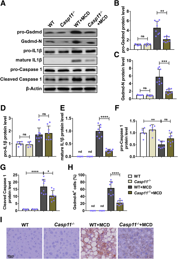 Figure 5