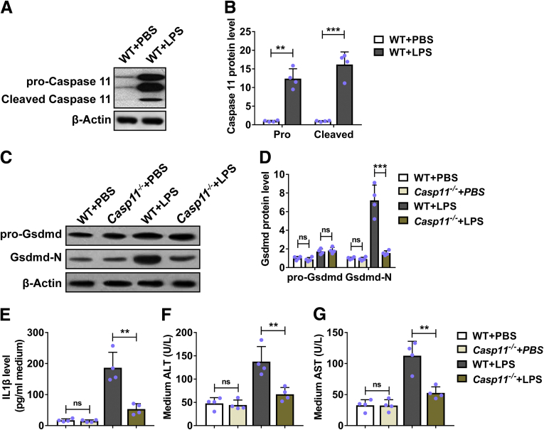 Figure 6