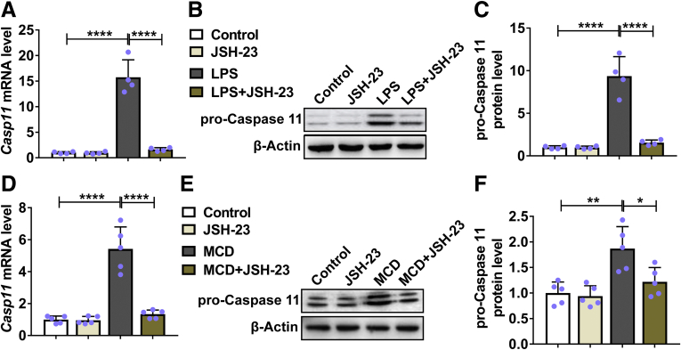 Figure 7